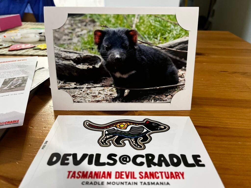Devils @ Cradle Adoption Card sitting on table. Featuring picture of a Tasmanian Devil.